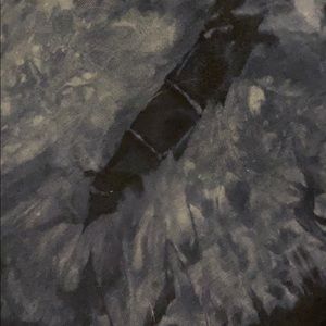 Meet your Posher, Cassidy